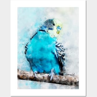 Dramabite Watercolor budgie budgeriger bird artsy artistic painting wildlife Posters and Art